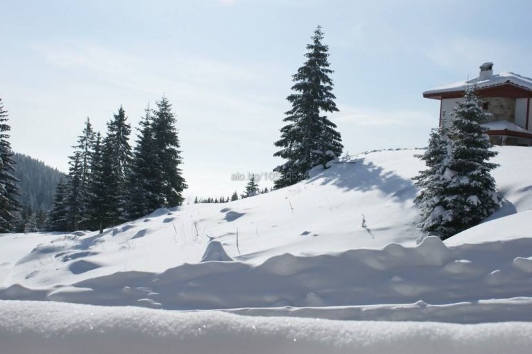 EstateImage