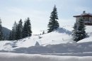 EstateImage